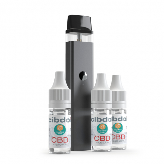 Vaporizador con Starter Set (experto)