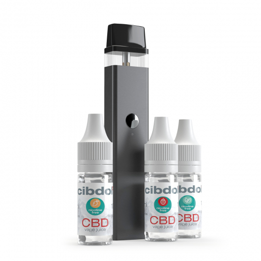 Vaporizador con Starter Set (experto)