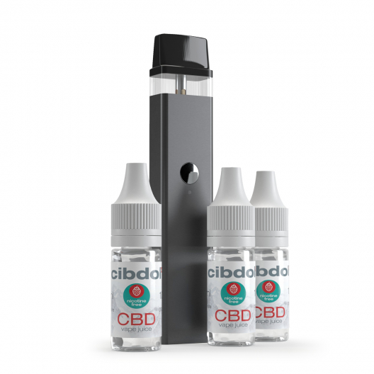 Vaporizador con Starter Set (experto)