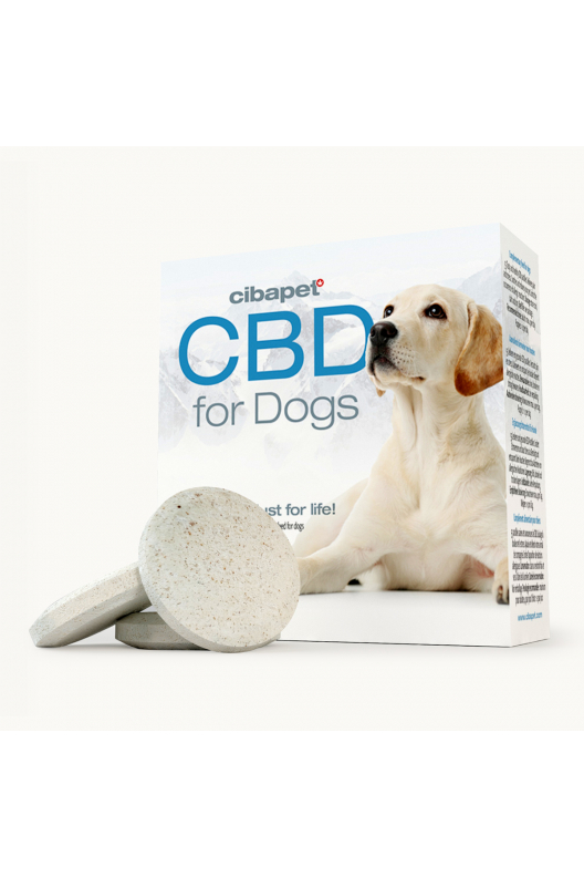 Pastillas de CBD para perros