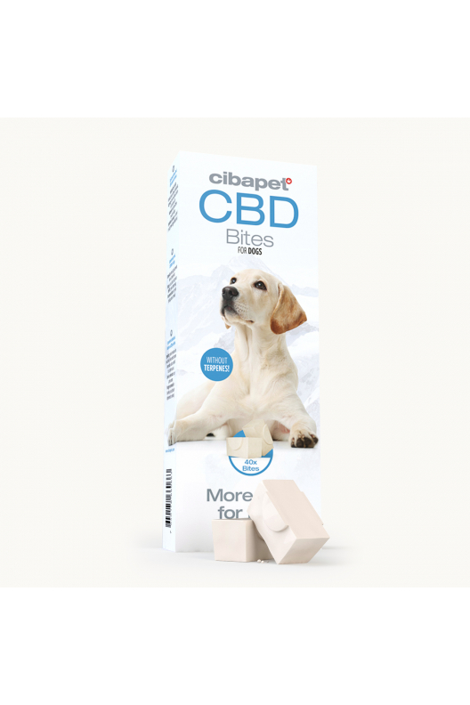 Snacks con CBD para perros