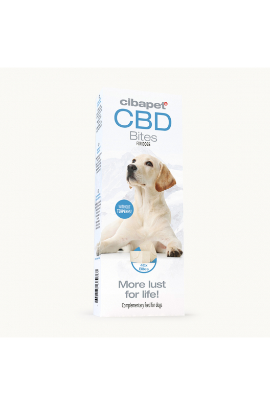 Snacks con CBD para perros