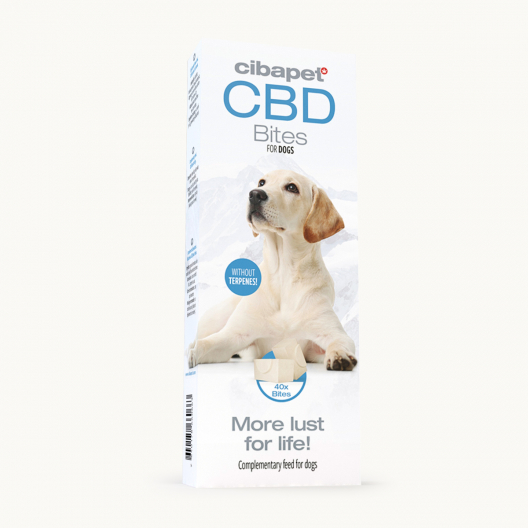 Snacks con CBD para perros