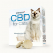 Pastillas de CBD para gatos