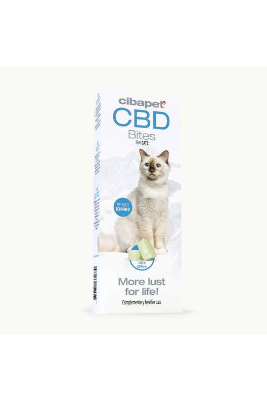 Snacks con CBD para gatos