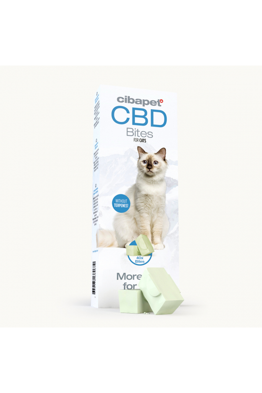 Snacks con CBD para gatos