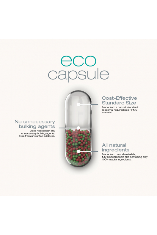 Hierro + Vitamina C Hierro + Vitamina C