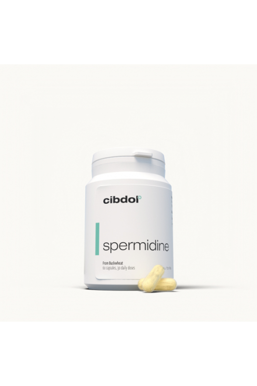 Espermidina