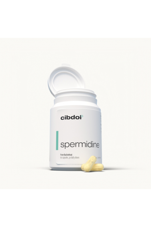 Espermidina