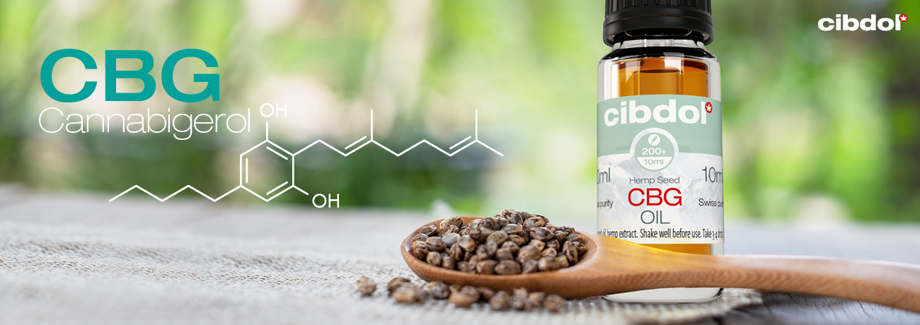 ¿Qué es el CBG (cannabigerol)?
