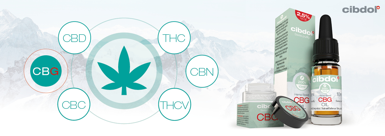 ¿Qué es el CBG (cannabigerol)?