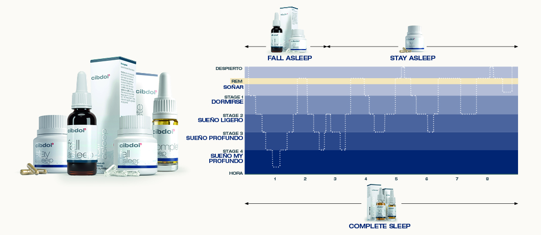 sleep stages infographic