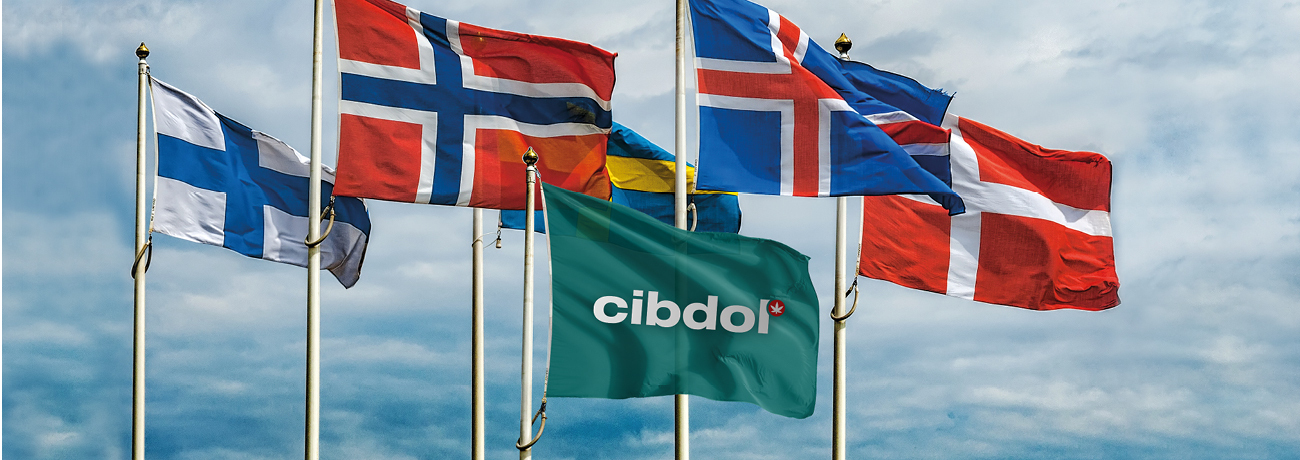 La web de Cibdol está disponible en 16 idiomas	