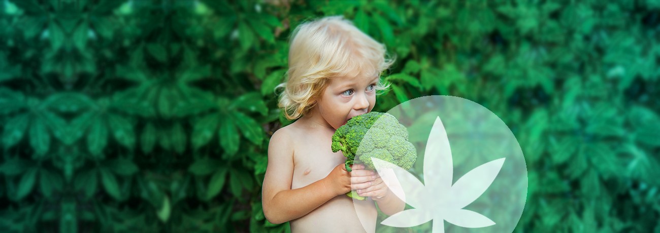 la dieta es a base de plantas