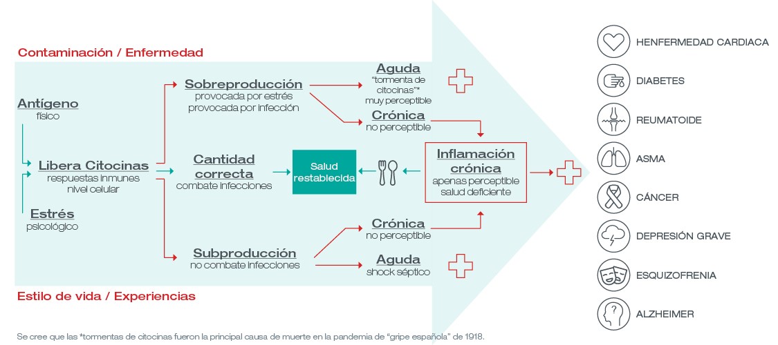 infografia de inflamacion cronica