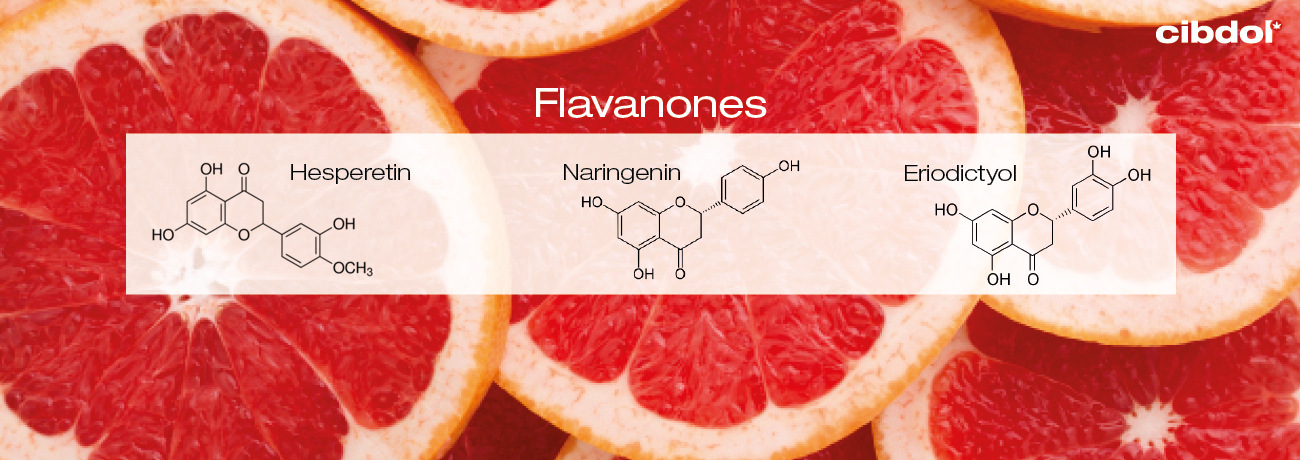 ¿Qué son las flavanonas?