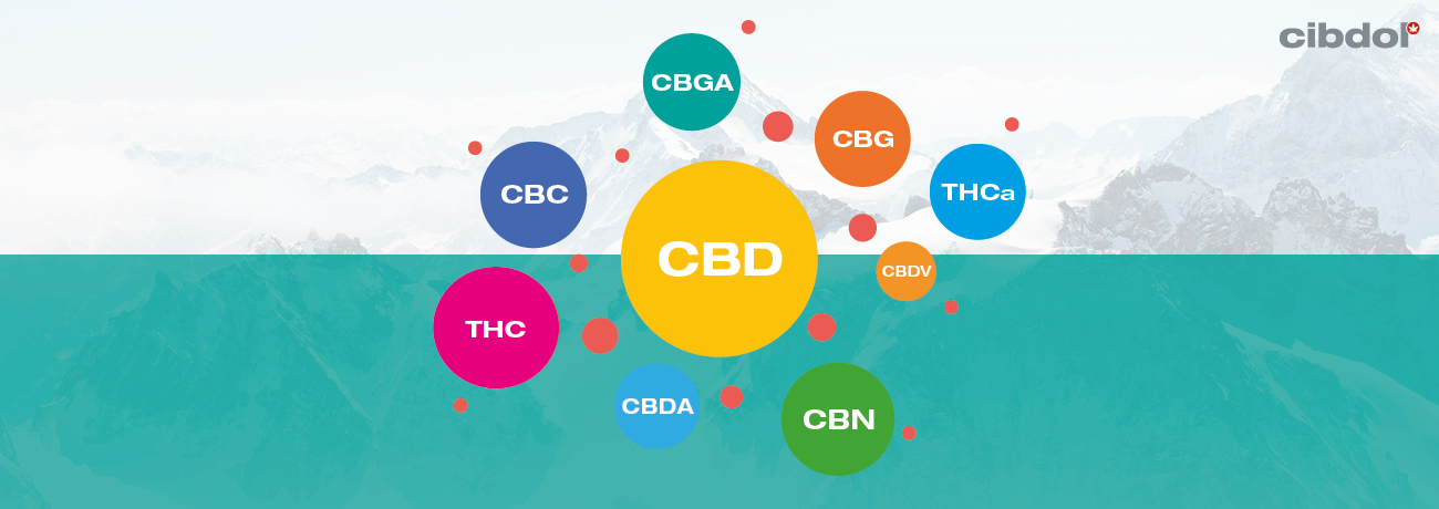 ¿Qué es el aceite de CBD de espectro completo?