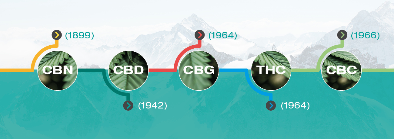 ¿Cuándo se descubrieron los cannabinoides?