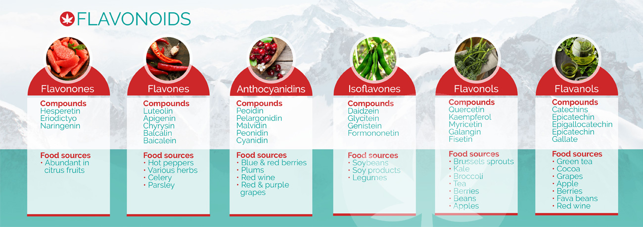 Ejemplos de flavonoides