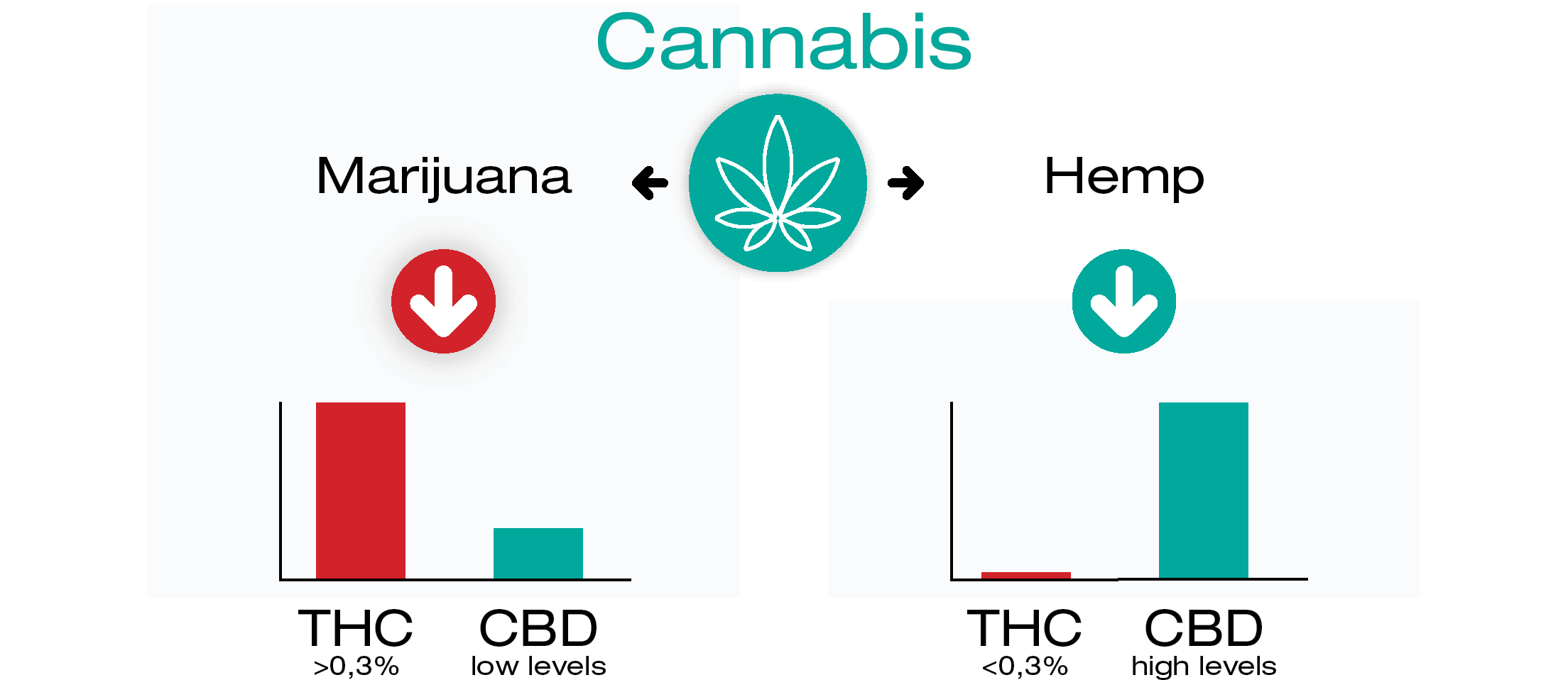 ¿Es el CBD calmante?