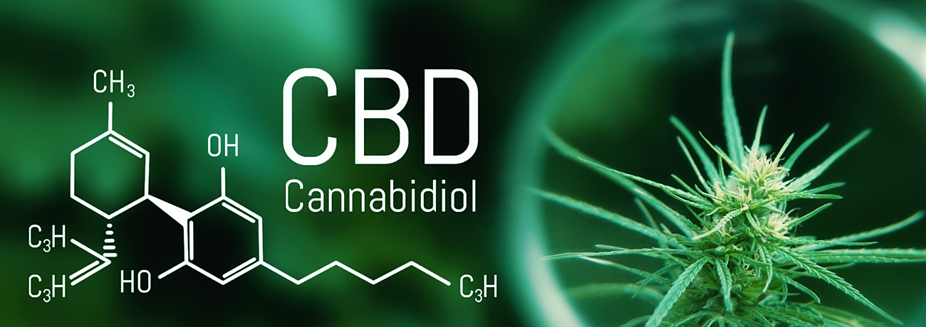 ¿Puede el CBD contrarrestar el THC?