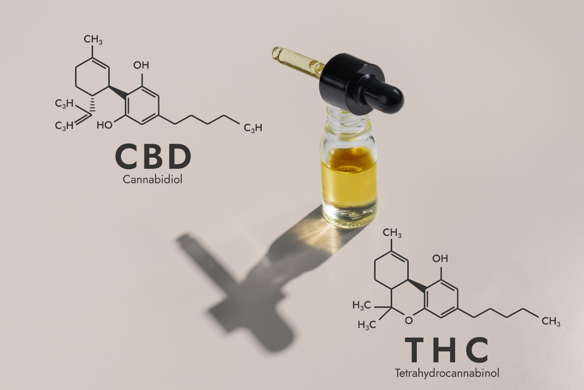 ¿Qué tipo de cáñamo debo utilizar para hacer aceite de CBD?