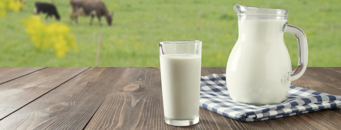 ¿Tiene la leche ácidos grasos omega-3?