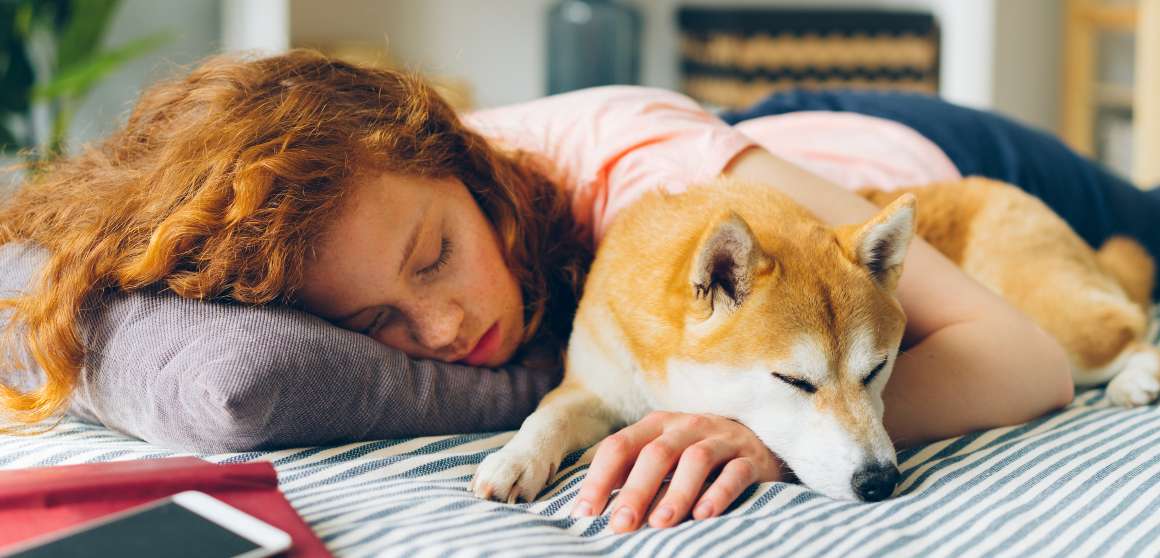 Beneficios de la cama colecho para perros