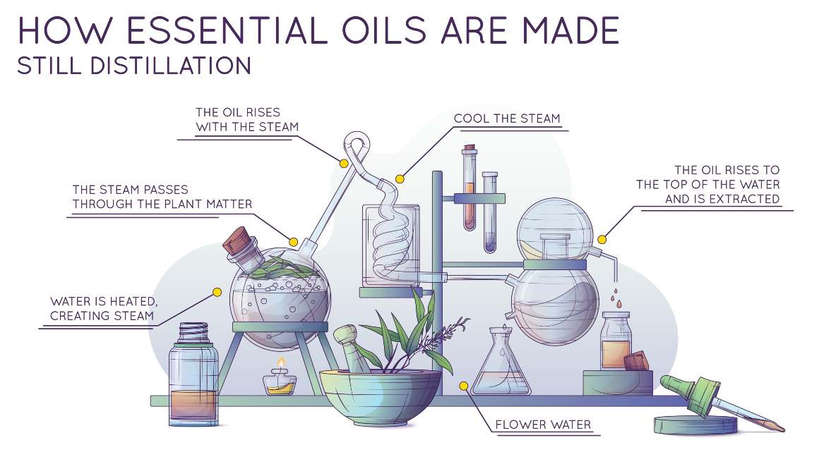 Cómo hacer aceites esenciales