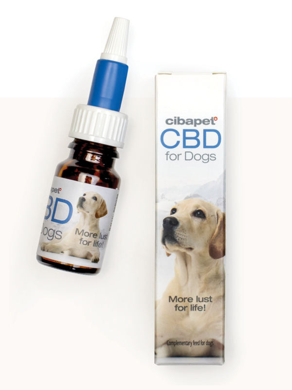 CBD para Perros