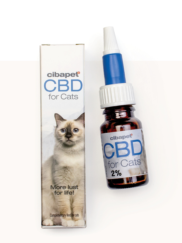 CBD para gatos