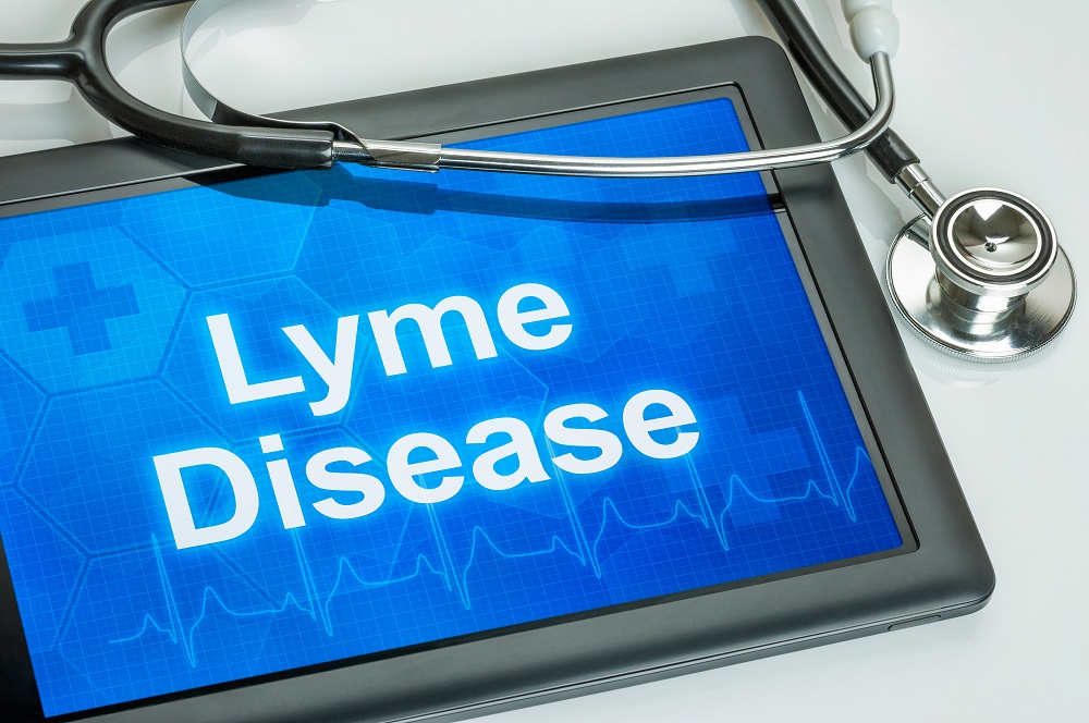 ¿Podría el CBD ser beneficioso para la enfermedad de Lyme?