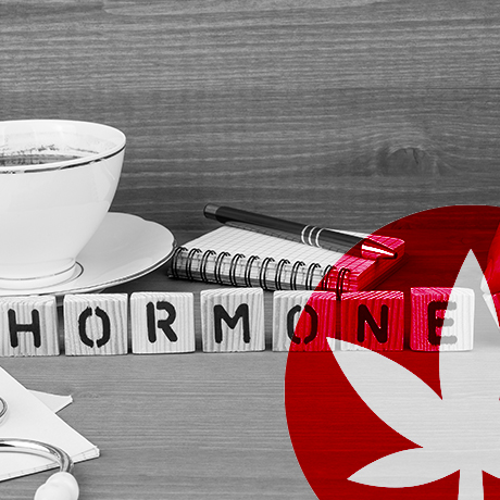 ¿Afecta el CBD a tus hormonas?