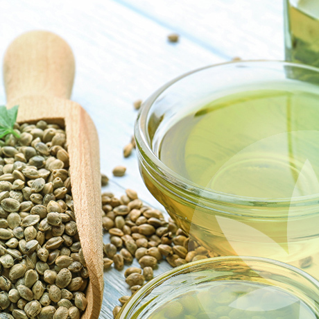 Aceite de semillas de cáñamo o aceite de oliva, ¿cuál es mejor?
