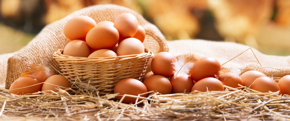 ¿Cuánta proteína hay en un huevo?