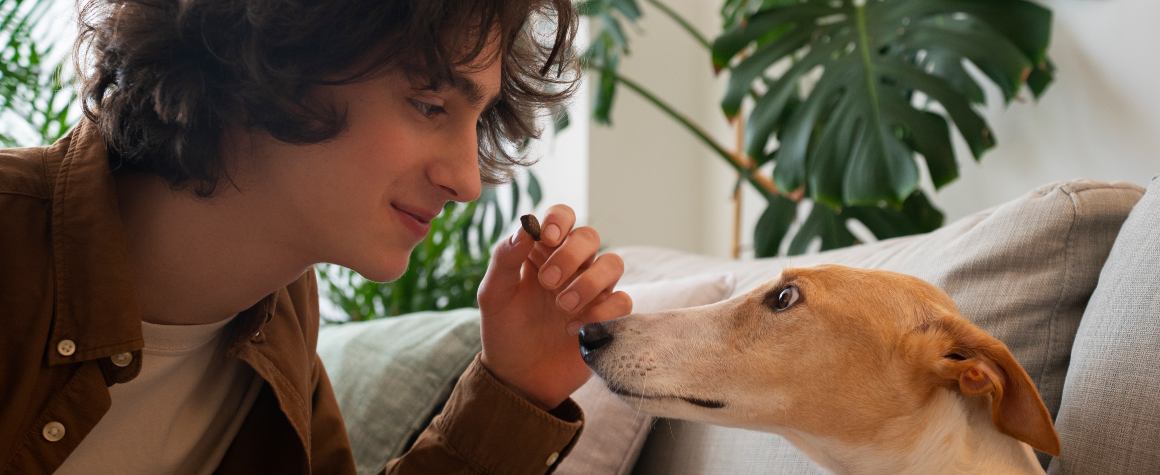 ¿El aceite de CBD no funciona con su perro?